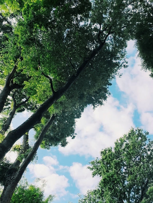 May blues